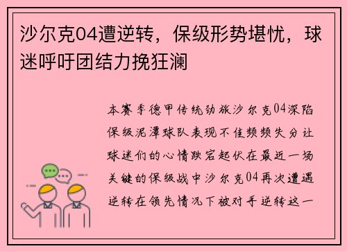 沙尔克04遭逆转，保级形势堪忧，球迷呼吁团结力挽狂澜